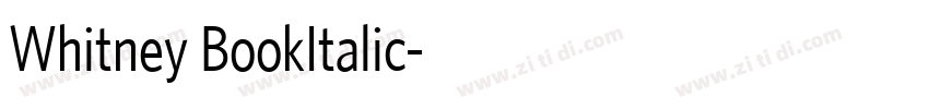 Whitney BookItalic字体转换